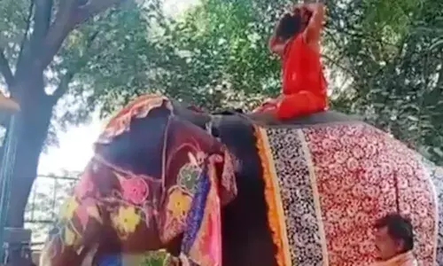 ...आणि रामदेव बाबा हत्तीवरुन पडले