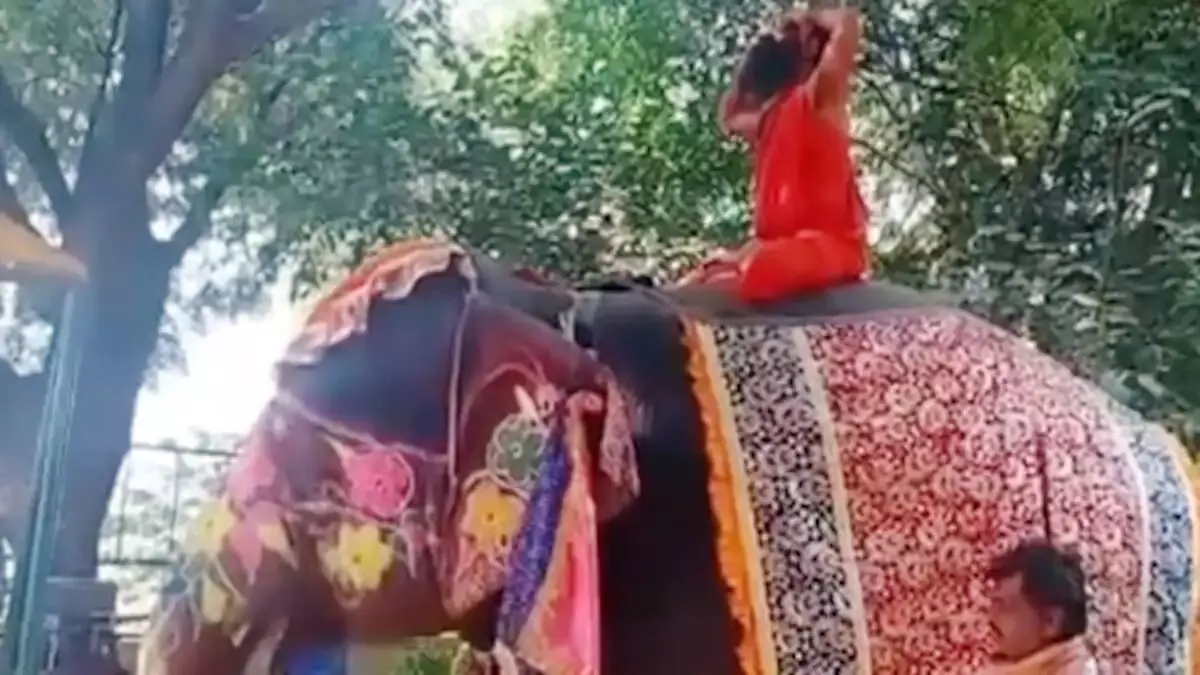 ...आणि रामदेव बाबा हत्तीवरुन पडले