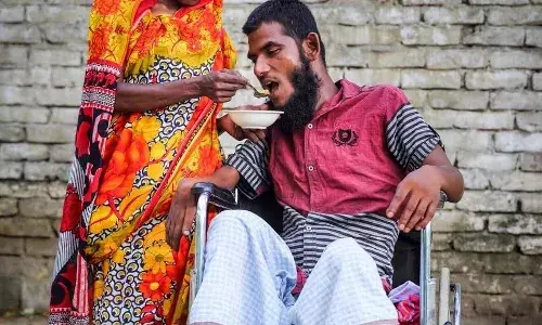 लुळा पांगळा संसार, एका वेश्येची लव्ह स्टोरी लुळा पांगळा संसार, एका वेश्येची लव्ह स्टोरी