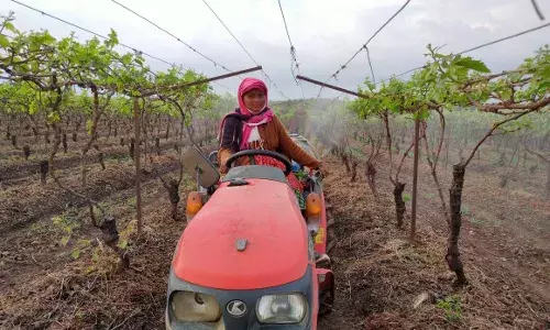 शेतीतील नवदुर्गा १: तुझ्या अथांग हिंमतीनं, बहरला रानमळा...
