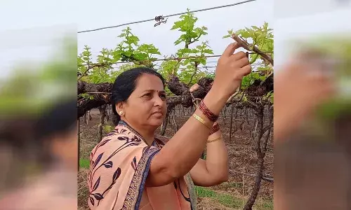 शेतीतील नवदुर्गा 2: हिंमतीची वाघिनी तू...