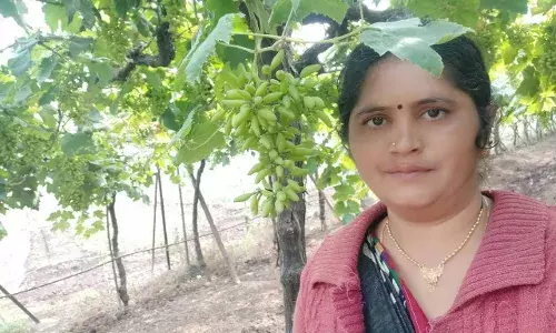 शेतीतील नवदुर्गा ३: पतीच्या निधनानंतर शेतीचा डोलारा सांभाळणाऱ्या भारती कुशारे शेतीतील नवदुर्गा ३: पतीच्या निधनानंतर शेतीचा डोलारा सांभाळणाऱ्या भारती कुशारे