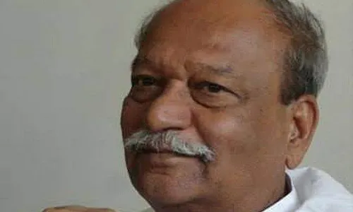 नाशिक मध्ये कदंब बहरलाय.. नाशिक मध्ये कदंब बहरलाय..