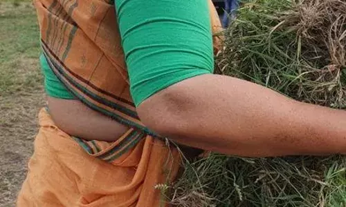 पवारांची सुन मारतेय झाडू