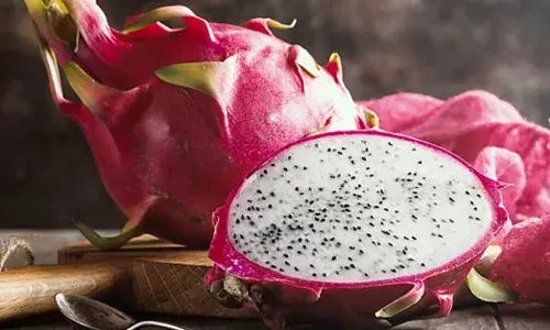 शहरांचं नामांतर सोडा गुजरातच्या मुख्यमंत्र्यांनी चक्क ड्रॅगन फ्रुटचं नाव देखील बदललंय