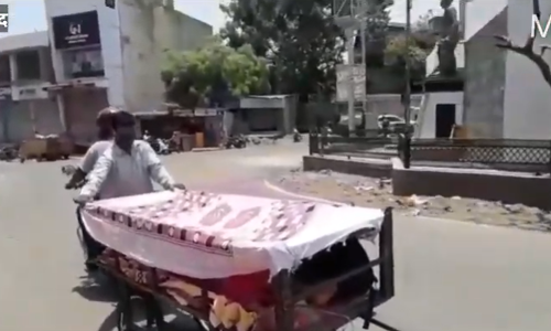 आधुनिक श्रावण बाळ !