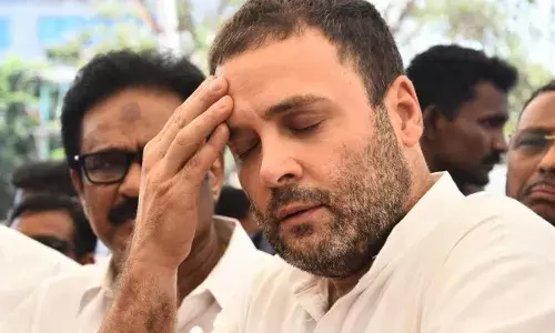 माहित नाही महाशय कधी झोपेतून उठतील