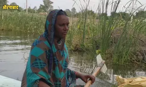 जायकवाडीच्या काठावरील तिचा रोजचा प्रवास! जायकवाडीच्या काठावरील तिचा रोजचा प्रवास!