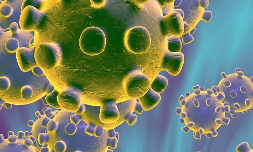 राज्यात कोरोना रुग्णांच्या आकडेवारीत मोठी घट...इतके लोक झाले कोरोणा मुक्त...