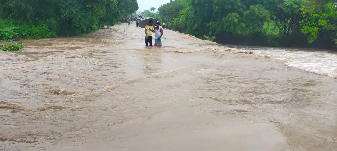 #MaharashtraRain : नांदेड जिल्ह्याला पावसाचा तडाखा, 2 महिला वाहून गेल्या