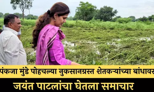 पंकजा मुंडे पोहचल्या नुकसानग्रस्त शेतकऱ्यांच्या बांधावर; जयंत पाटलांचा घेतला समाचार पंकजा मुंडे पोहचल्या नुकसानग्रस्त शेतकऱ्यांच्या बांधावर; जयंत पाटलांचा घेतला समाचार