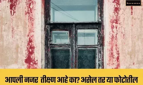 आपली नजर तीक्ष्ण आहे का? असेल तर या फोटोतील मांजर शोधून दाखवा बरं.. आपली नजर तीक्ष्ण आहे का? असेल तर या फोटोतील मांजर शोधून दाखवा बरं..