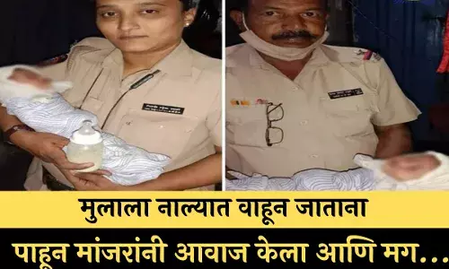 मुलाला नाल्यात वाहून जाताना पाहून मांजरांनी आवाज केला आणि मग... मुलाला नाल्यात वाहून जाताना पाहून मांजरांनी आवाज केला आणि मग...