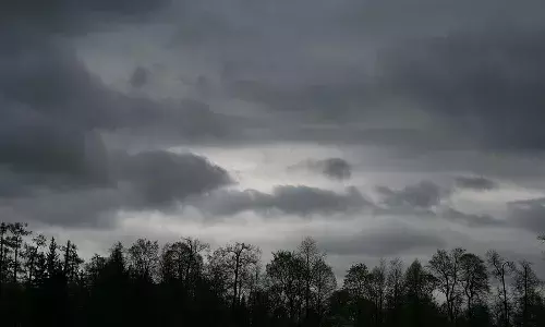 राज्यात दोन दिवस पावसाची शक्यता...