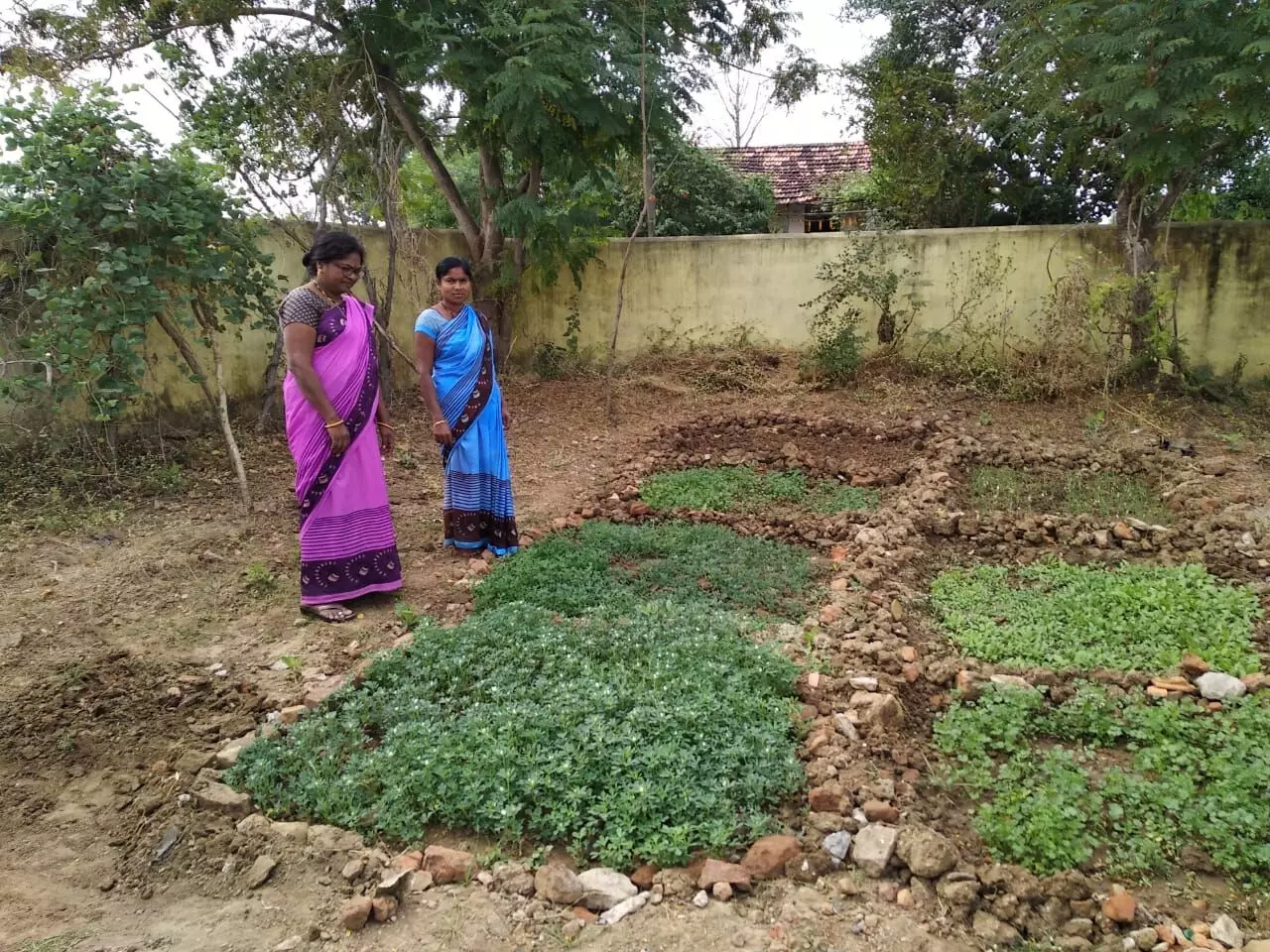 कुपोषणाची समस्या सोडवण्यासाठी परसबागेची अभिनव संकल्पना…