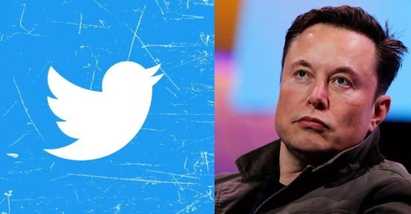 ट्विटर घेणार मोठा निर्णय? Elon Musk यांच्या मनात नेमक काय?