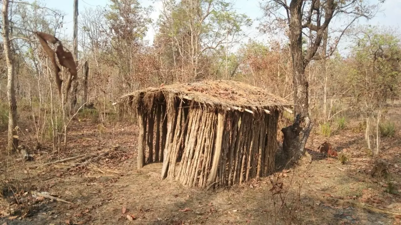 कधी बंद होणार अंधश्रध्देचं कुर्माघर?