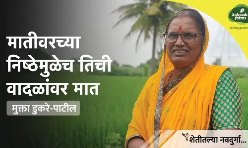 मातीवरच्या निष्ठेमुळेच तिची वादळांवर मात... मातीवरच्या निष्ठेमुळेच तिची वादळांवर मात...