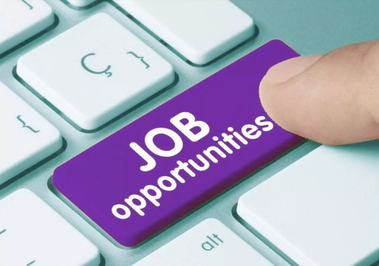 Job Opportunities : या चार ठिकाणी नोकरीची संधी..