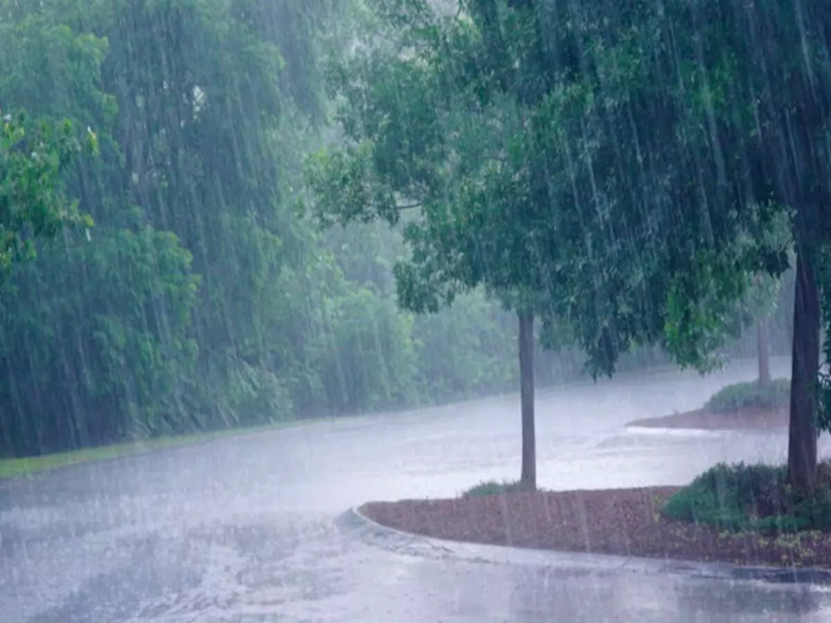 पुढील 48 तासात मुसळधार ते अतिमुसळधार पावसाची शक्यता... ।maharashtra rain update