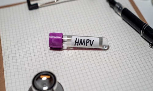 भारतात HMPV केस एवढ्या लवकर सापडली कशी? हा विषाणू किती धोकादायक आहे?