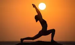 नियमित योगा करण्याचे फायदे: शारीरिक आणि मानसिक स्वास्थ्यासाठी फायदेशीर