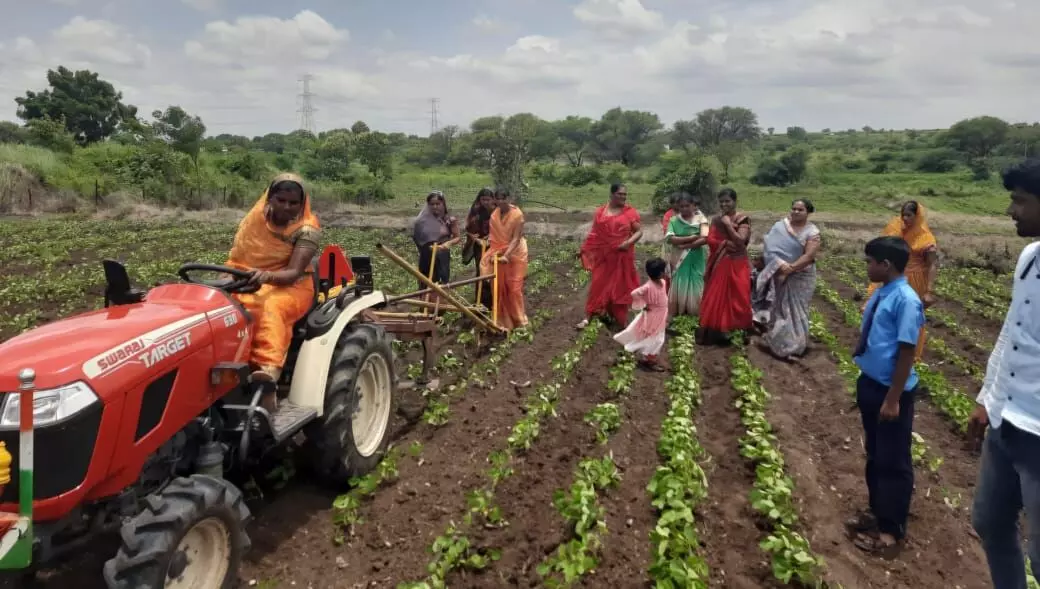 महाराष्ट्राच्या मातीतील महिला शेतकरी म्हणजे ग्रामीण अर्थव्यवस्थेचा कणा