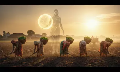 शेतीमध्ये महिलांचे योगदान : अदृश्य कष्टांची खऱ्या अर्थाने दखल