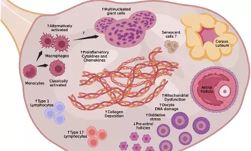 भारतीय महिलांमध्ये अकाली ओव्हेरियन एजिंगचे संकट