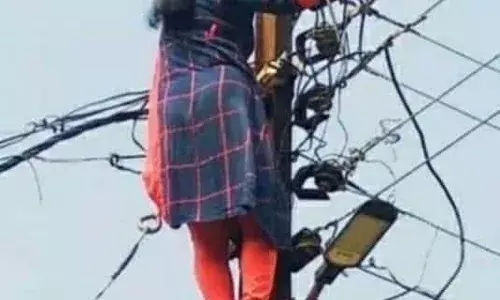 विजेच्या खांबावर सरसर चढणारी बिजली उषा जगदाळे विजेच्या खांबावर सरसर चढणारी बिजली उषा जगदाळे
