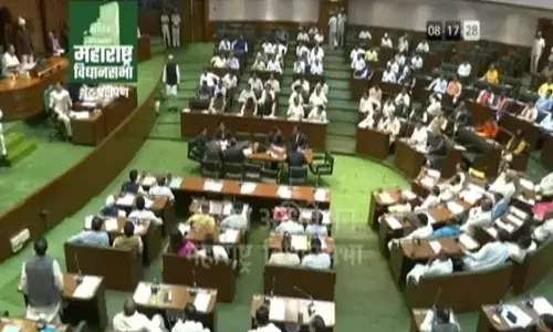 भाजप नेत्याच्या ‘त्या’ मुस्लिम महिलाविरोधी वक्तव्यावर विधानसभेत गोंधळ