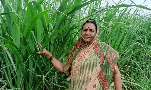 झुंजार मातृत्व... !! झुंजार मातृत्व... !!