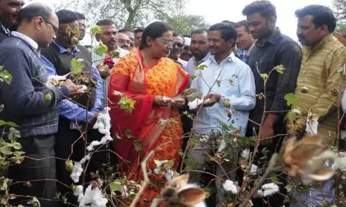 खातेवाटपाचा गोंधळ सुरूच यशोमती ठाकुर शेतकऱ्यांच्या बांधावर