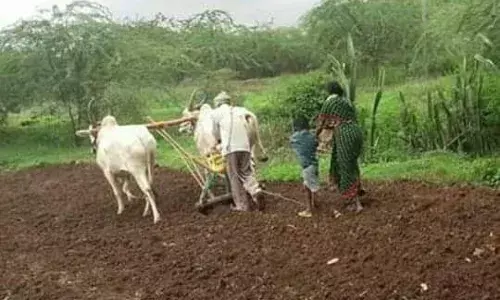 माझी डॉक्टरेट आई ! माझी डॉक्टरेट आई !