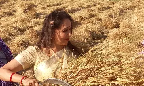 ड्रीम गर्ल हेमा मालिनीचा निवडणुकांसाठी थेट शेतातून प्रचार