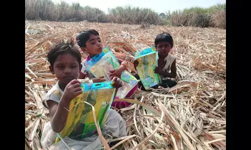 शिक्षण हक्क कायद्याचा फसलेला प्रयोग: उसतोड वीटभट्टी मजुरांची मुले शिकणार कशी ? शिक्षण हक्क कायद्याचा फसलेला प्रयोग: उसतोड वीटभट्टी मजुरांची मुले शिकणार कशी ?