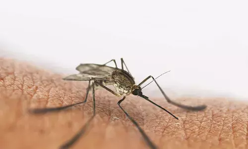 डेडली डेंग्यू!