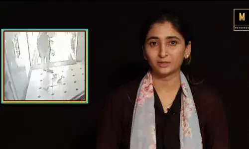 कॅटवाल्या सोफीच्या प्रयत्नांनी होणार मांजरांची देखभाल कॅटवाल्या सोफीच्या प्रयत्नांनी होणार मांजरांची देखभाल