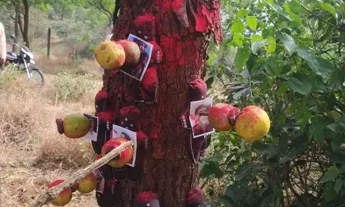 नऊजणांचे फोटो लावून काळी जादू करण्याचा प्रयत्न...