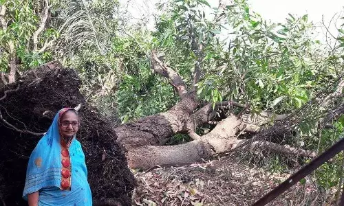 एक धागा प्रचंड अस्वस्थ करणारा एक धागा प्रचंड अस्वस्थ करणारा