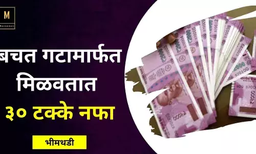 बचत गटामार्फत मिळवतात ३० टक्के नफा बचत गटामार्फत मिळवतात ३० टक्के नफा