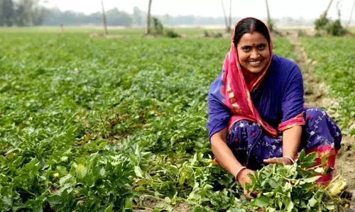 भारतीय कृषी व महिलांची भूमिका