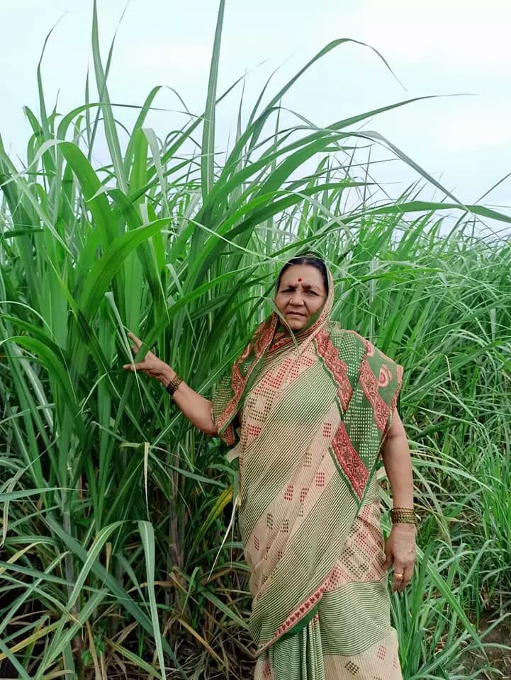 झुंजार मातृत्व... !!