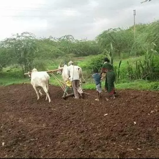 माझी डॉक्टरेट आई !