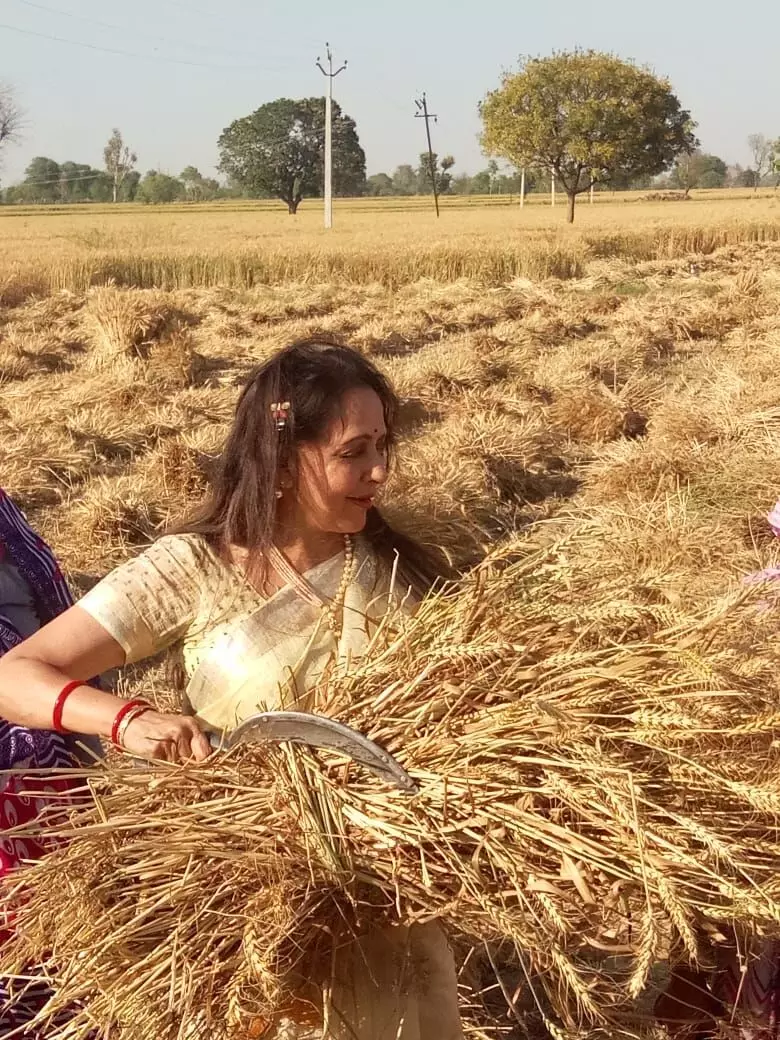 ड्रीम गर्ल हेमा मालिनीचा निवडणुकांसाठी थेट शेतातून प्रचार