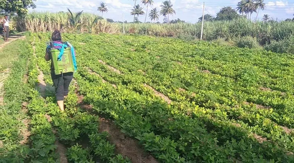 कधीही या... घाबरू नका – स्नेहल डोके पाटीलची अनोखी साद