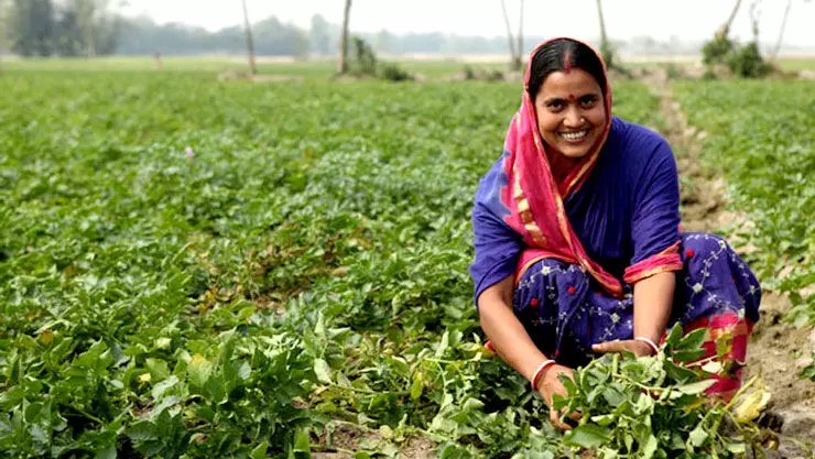 भारतीय कृषी व महिलांची भूमिका